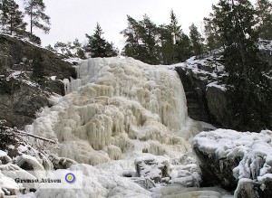 Älgafallet, eller lika gärna Elgåfossen eftersom riksgränsen mellan Norge och Sverige går mitt i forsen, har en fallhöjd på 46 meter och är Bohusläns och också Östfolds högsta oreglerade vattenfall.